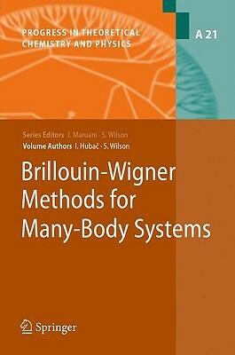 Brillouin-Wigner Methods for Many-Body Systems by Stephen Wilson, Ivan Hubac