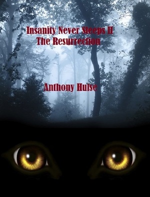 Insanity Never Sleeps II the Resurrection by Anthony Hulse