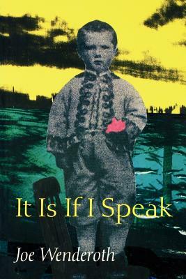 It Is If I Speak by Joe Wenderoth