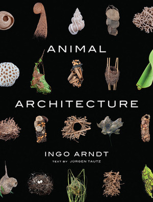 Animal Architecture by Jürgen Tautz, Jim Brandenburg, Ingo Arndt