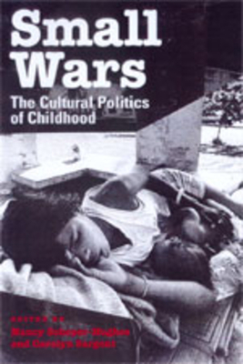 Small Wars: The Cultural Politics of Childhood by Nancy Scheper-Hughes