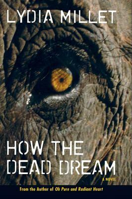 How the Dead Dream by Lydia Millet
