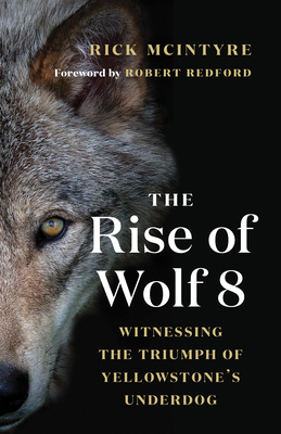 The Rise of Wolf 8: Witnessing the Triumph of Yellowstone's Underdog by Rick McIntyre