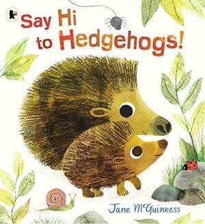 Say Hi to Hedgehogs! by Jane McGuinness