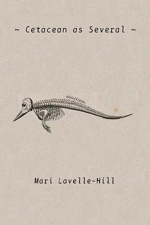 Cetacean as Several by Mari Lavelle-Hill