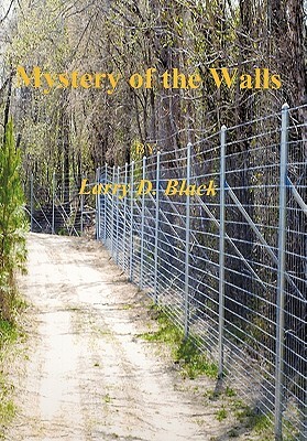 Mystery of the Walls by Larry Black