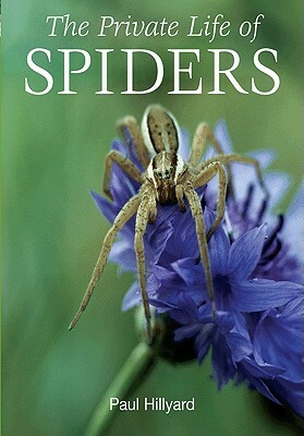 The Private Life of Spiders by Paul Hillyard