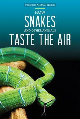 How Snakes and Other Animals Taste the Air by Kristen Rajczak