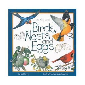 Birds, Nests & Eggs by Mel Boring