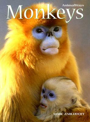 Monkeys by Marc Zabludoff