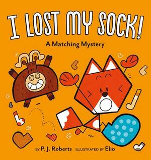 I Lost My Sock!: A Matching Mystery by P. J. Roberts