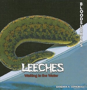 Leeches: Waiting in the Water by Barbara A. Somervill