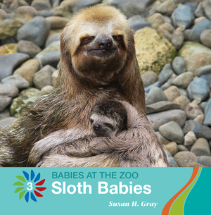 Sloth Babies by Susan H. Gray