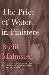 The Price of Water in Finistère by Bodil Malmsten