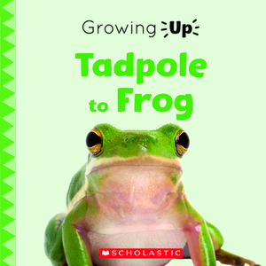 Tadpole to Frog (Growing Up) by Brenna Maloney, Scholastic, Inc