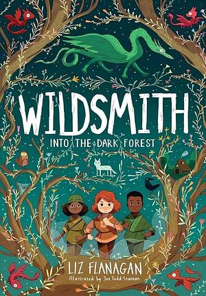 Wildsmith: Into the Dark Forest by Joe Todd-Stanton, Liz Flanagan