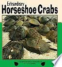 Extraordinary Horseshoe Crabs by Julie Dunlap