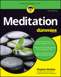 Meditation for Dummies by Stephan Bodian