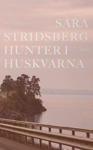 Hunter i Huskvarna by Sara Stridsberg