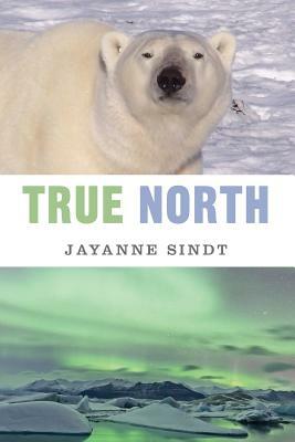 True North: An Arctic Fable by Jayanne Sindt