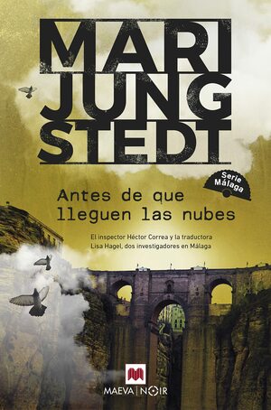 Antes de que lleguen las nubes by Mari Jungstedt