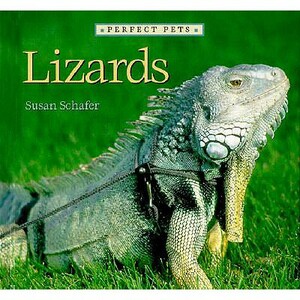 Lizards by Susan Schafer