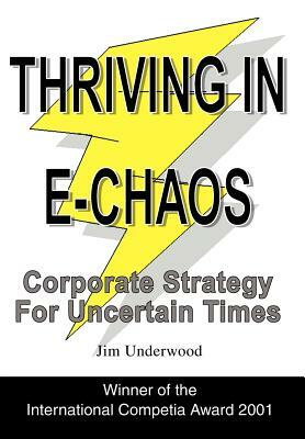 Thriving in E-Chaos: Corporate Strategy for Uncertain Times by Jim Underwood, Sandra L. Smith