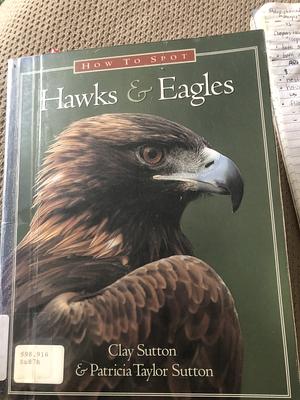 How to Spot Hawks and Eagles by Clay Sutton