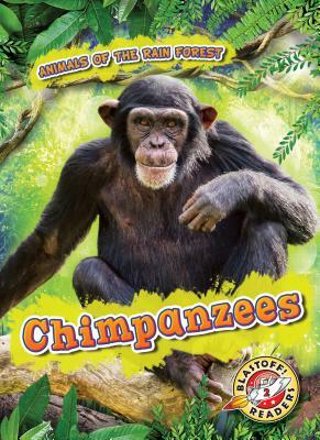 Chimpanzees by Rachel Grack