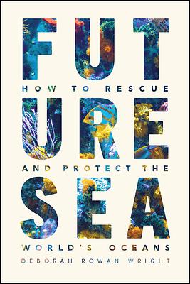 Future Sea: How to Rescue and Protect the World's Oceans by Deborah Rowan Wright