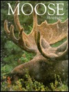 Moose by Michio Hoshino
