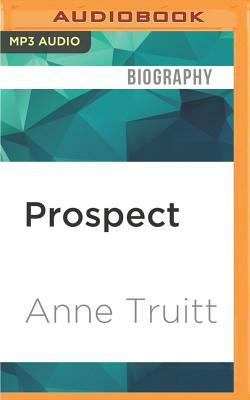 Prospect: The Journal of an Artist by Anne Truitt