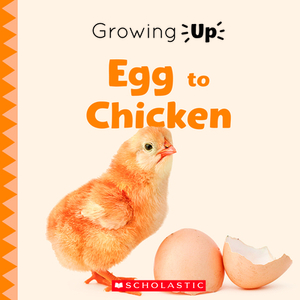Egg to Chicken (Growing Up) by Scholastic, Inc, Leslie Kimmelman, Jodie Shepherd