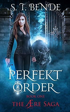 PERFECT ORDER by S.T. Bende