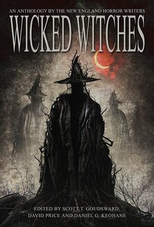 Wicked Witches by Errick A. Nunnally, Suzanne Reynolds-Alpert, Scott T. Goudsward, Doug Rinaldo, G.D. Dearborn, Izzy Lee, Morgan Sylvia, Jan Kozlowski, John McIlveen, Ogmios, Trisha J. Wooldridge, Rob Smales, Jeremy Flagg, Daniel G. Keohane, Penny Dreadful, Peter N. Dudar, Paul McMahon, Nick Manzolillo, James A. Moore, Joshua Goudreau, Patrick Lacey, Mikio Murakami, K.H. Vaughan, Barry Lee Dejasu, Morven Westfield, Catherine Grant, David Price