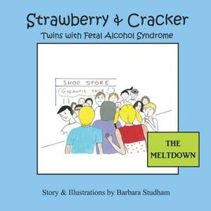 The Meltdown: Strawberry & Cracker, Twins with Fetal Alcohol Syndrome by Barbara Studham