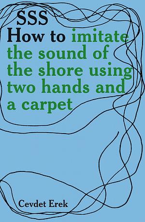 SSS: How to imitate the sound of the shore using two hands and a carpet by Cevdet Erek