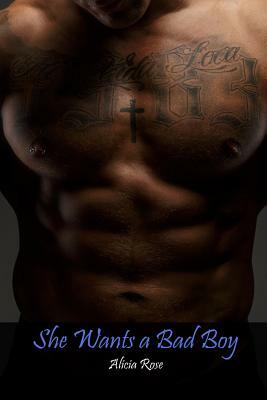 She Wants a Bad Boy by Alicia Rose