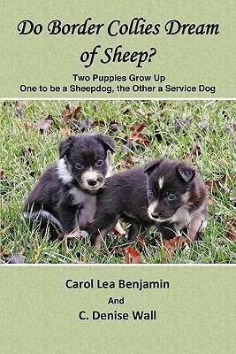 Do Border Collies Dream of Sheep? by C. Denise Wall, Carol Lea Benjamin