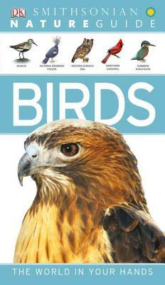 Nature Guide: Birds: The World in Your Hands by David Burnie