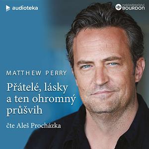 Přátelé, lásky a ten ohromný průšvih  by Matthew Perry