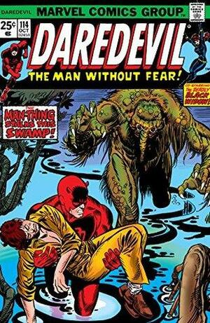 Daredevil (1964-1998) #114 by Steve Gerber