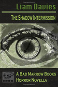 The Shadow Intermission by Liam Davies
