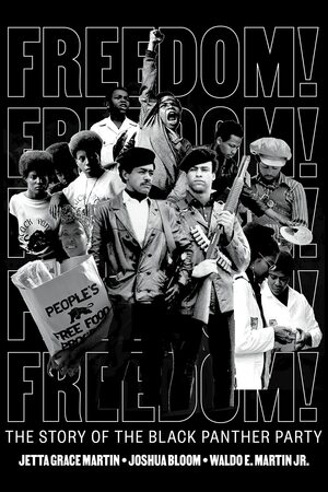 Freedom! The Story of the Black Panther Party by Waldo E. Martin Jr., Jetta Grace Martin, Joshua Bloom