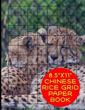 8.5x11 Chinese Rice Grid Paper Book by Terri Jones