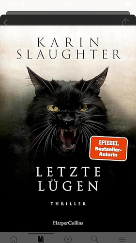 Letzte Lügen by Karin Slaughter