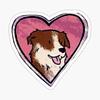 softsamflower's profile picture
