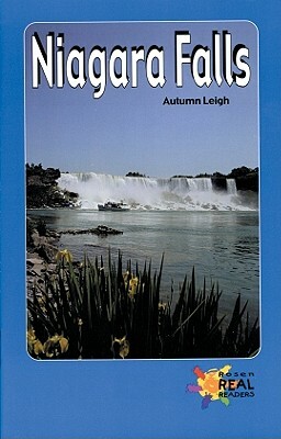 Niagara Falls by Autumn Leigh