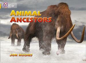 Animal Ancestors by Jon Hughes