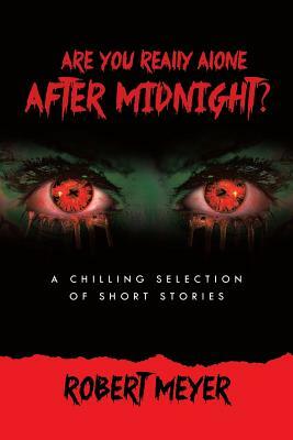 Are You Really Alone After Midnight? by Robert Meyer